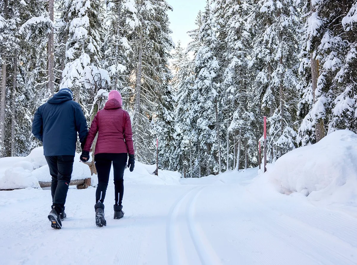 Winterwandern